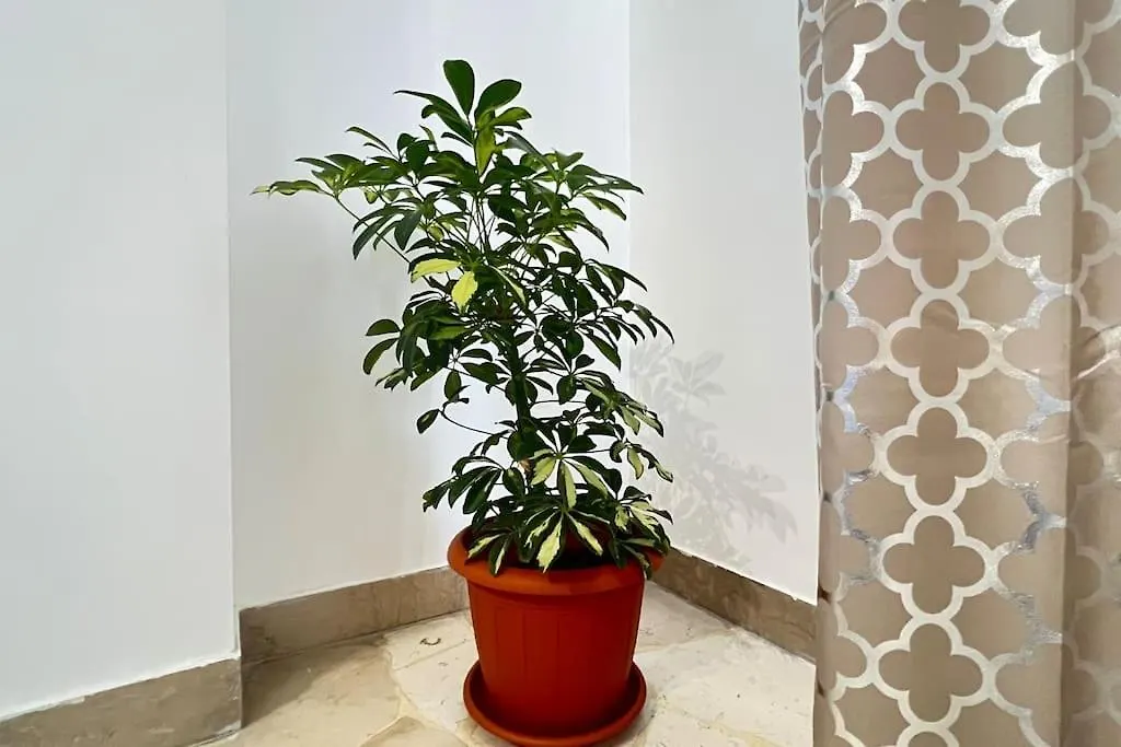 New And Elegant Apartment On The Navigli Netflix E Disney ميلان 0*,  إيطاليا